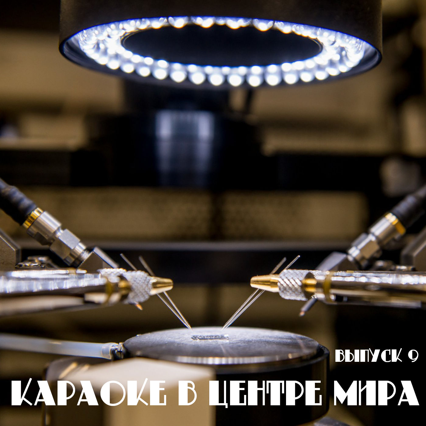 Юлия Зотова об экспериментальной квантовой физике в Японии [#9]